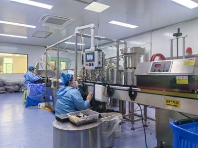 通化 人參產業“新新”向榮，西洋參成新亮點